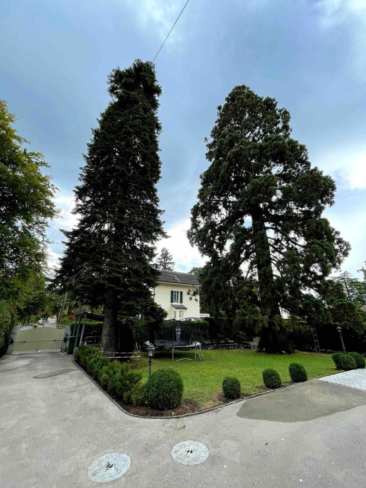 Mont-blanc Appartement