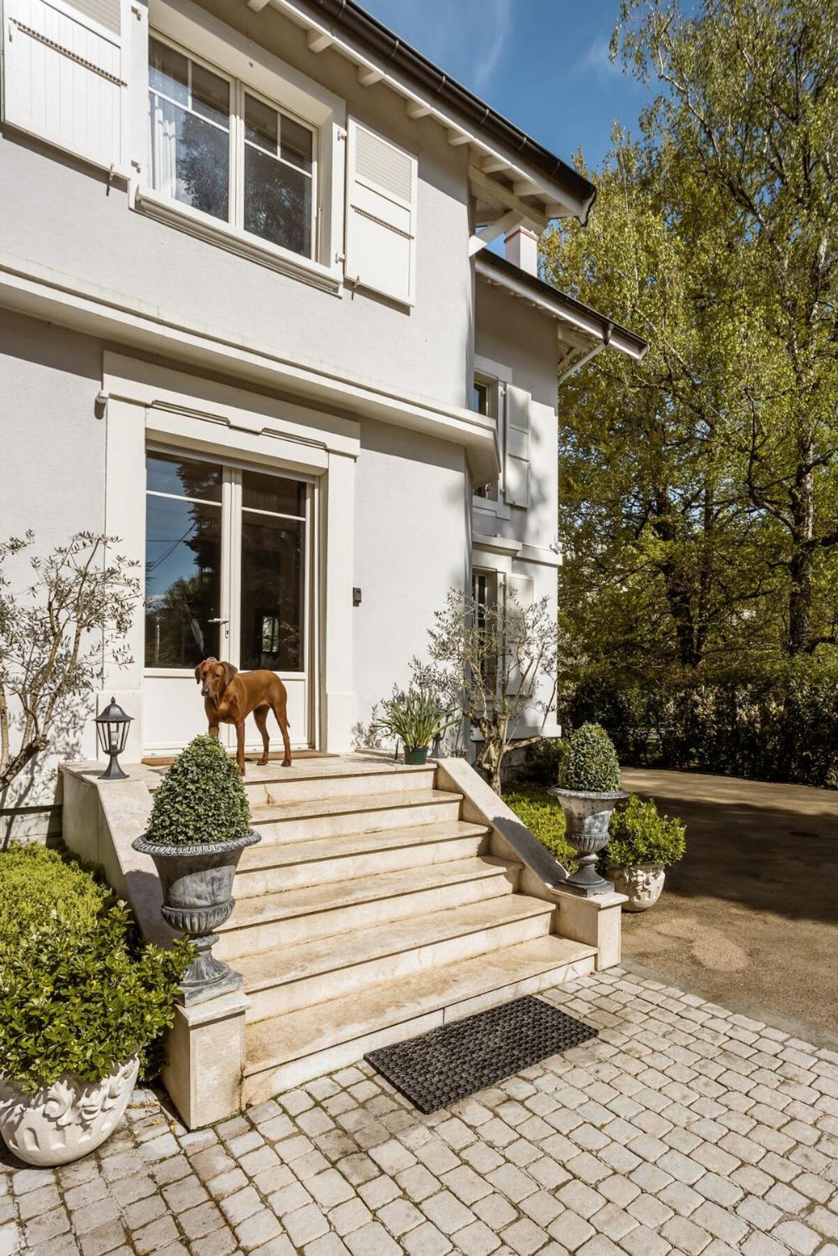 Mont-blanc Appartement